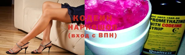 прущие грибы Алзамай