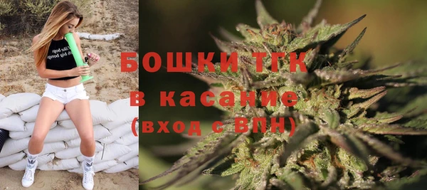 прущие грибы Алзамай