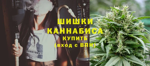 прущие грибы Алзамай